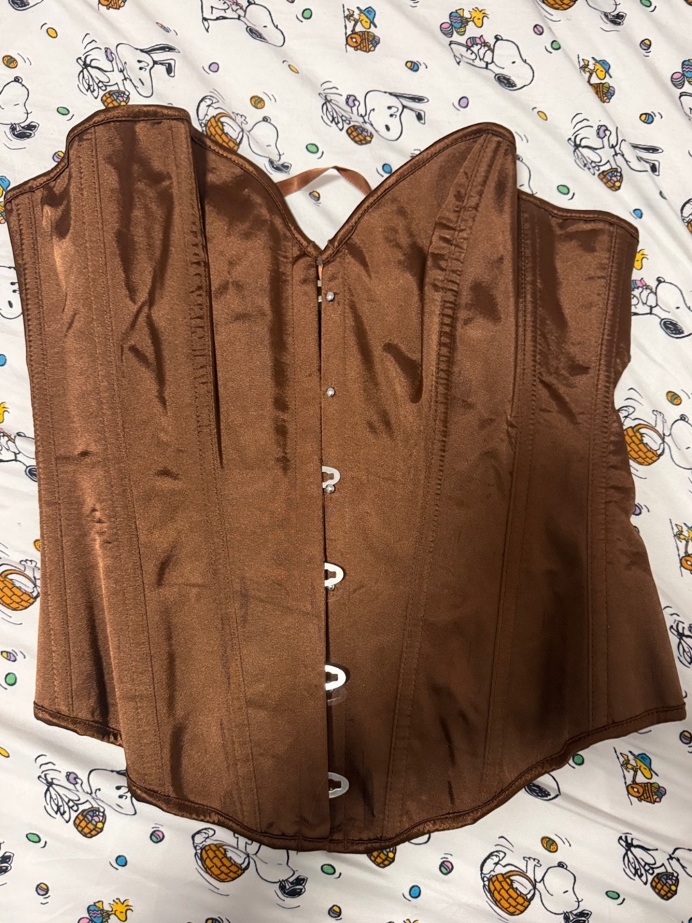 Brown Satin Corset Top - Women